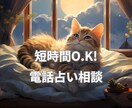 短時間でもO.Kです。あなたの悩みにお答えします サクッと、電話で占い鑑定します。お気軽にご相談くださいね。 イメージ1