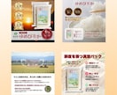 高品質！【6枚3,000円】で商品画像を制作します 商品・サービスの魅力が“伝わる”画像を制作いたします！ イメージ6