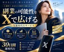 副業特化のX・Twitter運用を30日代行します メルカリ物販・アフィリエイト・AI副業｜権威性と影響力を強化 イメージ15