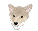 愛犬のイラストを描きます 世界一可愛いあなたの愛犬イラスト柔らかいタッチのイラスト イメージ3