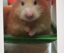 画像加工します 画像加工のやり方が分からない！そんなあなたへ イメージ2