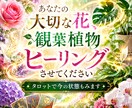 あなたの大切な植物ヒーリングします 生花、観葉植物に遠隔レイキヒーリング送ります イメージ1