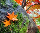 Instagramの投稿写真の相談や編集を承ります インスタを魅了的でワクワクするものにしませんか？ イメージ8