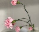 お肌のお悩みを聞き、一緒に解決します 本当にお肌に合ったもの使ってる?使い方合ってる? イメージ1