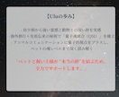 アニマルコミュニケーション｜魂と対話します 亡くなった子も可能。過去世や相性、エネルギー解析もできます イメージ3