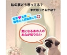 気になるあの人の本音を占います ⭐︎あの人は私の事どう思ってる？恋愛・友情・仕事関係にも◎ イメージ1