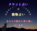 タロット×動物占いで深掘り鑑定！背中を押します あなたの本質を見抜き、人生を好転させる助言 イメージ1