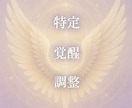 特定・覚醒・調整_あなたの隠れた才能を開花させます 自分には何もないと感じるあなたへ眠れる才能を呼び覚まします イメージ2