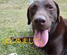 お手紙など、代筆、文章考えます あなたとお相手様の気持ちを繋げます イメージ1