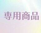 こちらは専用出品となります 特定の購入者様の専用ページのため購入しないようにお願いします イメージ1