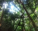 流れを創る！龍神ヒーリングをします 龍神さまからあなたへの開運メッセージを降ろします イメージ6