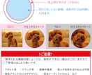 推し活にオススメ！缶バッジを制作します 缶バッジは勿論、デザイン制作のみも制作可能です！ イメージ3
