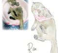 寝ている猫ちゃんを水彩画タッチで描きます 水彩タッチのほんわか優しいうちのこイラスト イメージ3