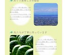 WEBページデザインします 勉強中のため最低価格でご提供しております！ イメージ1
