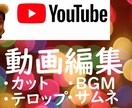 YouTubeの動画編集を高品質でお届けします 動画編集サムネイル作成承ります イメージ1