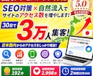 国内アクセスアップ特化｜30日で3万人集客します SEO対策×自然流入でサイトのアクセス数を増やします イメージ1