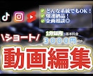 テーマ様々なSNS向けショート動画を編集します 丁寧、かつスピーディーに作製するため、同時受付1件のみ！ イメージ1