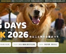 動きで魅せるイベント・店舗のLPを一括制作します デザインから公開まで一括。動きで魅せる1枚LPをお届けします イメージ1