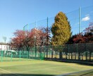 毎日のテニスが健康リモートワーク!アドバイスします 生涯スポーツ・テニスとリモートワークの関係を成功体験から解説 イメージ3