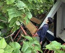 貴方の心の悩みを軽くします 一人悩まずまずは第一歩を踏み出してください。 イメージ1