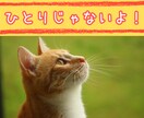 ひとりじゃない。押しつぶされそうな気持ち聞きます 悲しい、辛い、気持ちあふれるまま…ただ、話をしませんか？ イメージ3