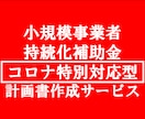 小規模事業者持続化補助金の書類一式作成します 実績のあるプロのコンサルタントがあなたの事業を応援します。 イメージ1