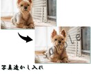 透かし制作致します フォトグラファーさんの透かしロゴ、サンプルの透かし作ります。 イメージ1