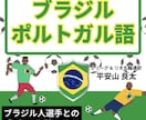 プロがポルトガル語のサッカー用語のレッスンします ブラジルクラブ在籍・五輪・Jリーグ通訳の経験から イメージ10