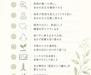 初級編：30日間｜意図と行動を整える伴走をします 期待・不安・振り子に飲まれず、意図を日常の選択へつなげます イメージ9