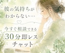 婚外恋愛|彼の気持ちを30分即レスで読み解きます 彼の気持ちがわからない…今すぐ相談できる30分即レスチャット イメージ2