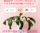 ハイヤーセルフ（魂の双子）がYES/NOで答えます 答えを聞いて幸せな未来に進みましょう イメージ1