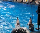 感情スパーリング！どんな悩みも愚痴も受け付けます イライラ、悲しくなった、落ち込んだ等ドンと受け止めます！ イメージ9