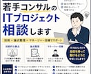 若手コンサルのITプロジェクト相談を受け付けます ITが分からないまま奮闘する若手コンサルへ イメージ1