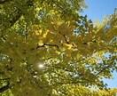嫁姑・同居ストレス　誰にも言えない悩み聞きます 心のモヤモヤ、ひとりで抱えないで イメージ1