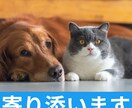 悩みを抱えるあなたのその心にそっと寄り添います 愚痴や悩みは心にとどめておかず、吐き出して前へ進みましょう！ イメージ2