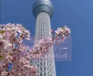 リール、ショート動画編集承ります あなたのいつもの動画投稿のお手伝いができたら嬉しいです。 イメージ4