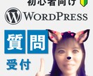 初心者向けのWordPressのお悩みに答えます 初心者特化！わかりやすさに感動の声をたくさんいただいています イメージ1