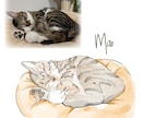 寝ている猫ちゃんを水彩画タッチで描きます 水彩タッチのほんわか優しいうちのこイラスト イメージ4
