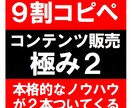 9割コピペ２！真面目なコンテンツ販売を教えます ちゃんとしたノウハウを2本ご利用いただけます イメージ1