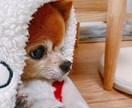 言えないこと、聞きます 身近な人には言えないけど話したいことありませんか？ イメージ1