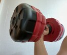 トレーニングメニューの作成をします 個人に合った強度でメニュー作成いたします。 イメージ1