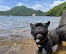 1時間メッセージで日頃のもやもや伺います 日頃の、悩み・不安・寂しさ・いらいらなど吐き出して下さい。 イメージ1