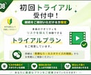実績1000本！丸投げOK！ショート動画編集します 〜YouTube shorts・TikTok・リール対応〜 イメージ9