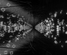 背景用の10秒ループ映像を、お好みの色に調整します 配信やMVの背景、VJ素材としてお使いいただけます イメージ2