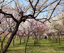 片想い6年→交際5年→結婚20年、お話し聞きます 女性限定。ゆっくり１日ライン感覚で恋愛相談や恋バナ♡雑談など イメージ5