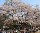 あなたの心に残るフォトをお届けします 自然体を生かし、一枚の写真で人の心を動かす写真家 イメージ1