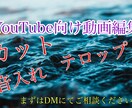 格安でYouTube向けの動画編集承ります YouTubeなどの動画編集いたします！！！ イメージ1