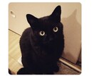 食いしん坊の菜摘が献立アイデアを提供します 「ああ今晩何作ろう〜」とか悩んだらちょっと話しましょ! イメージ4