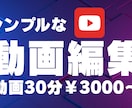 簡単な動画編集を承ります シンプルな料金設定と素早い対応 イメージ1