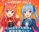 初心者向けVTuberモデル制作＋配信素材つけます 初配信まで全力支援！素材・台本・マニュアル全部入り！ イメージ3